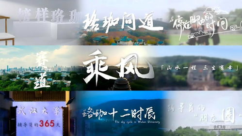 以心鑄魂 用情筑夢 著力培養(yǎng)堪當大任的時代新人